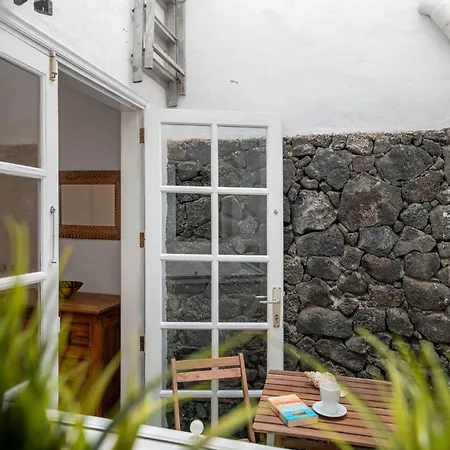 Cipreses Puerto del Carmen (Lanzarote)