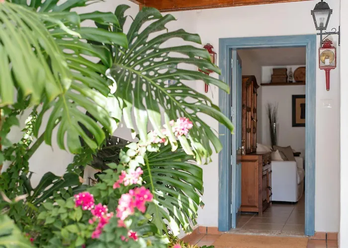 Cipreses プエルト・デル・カルメン